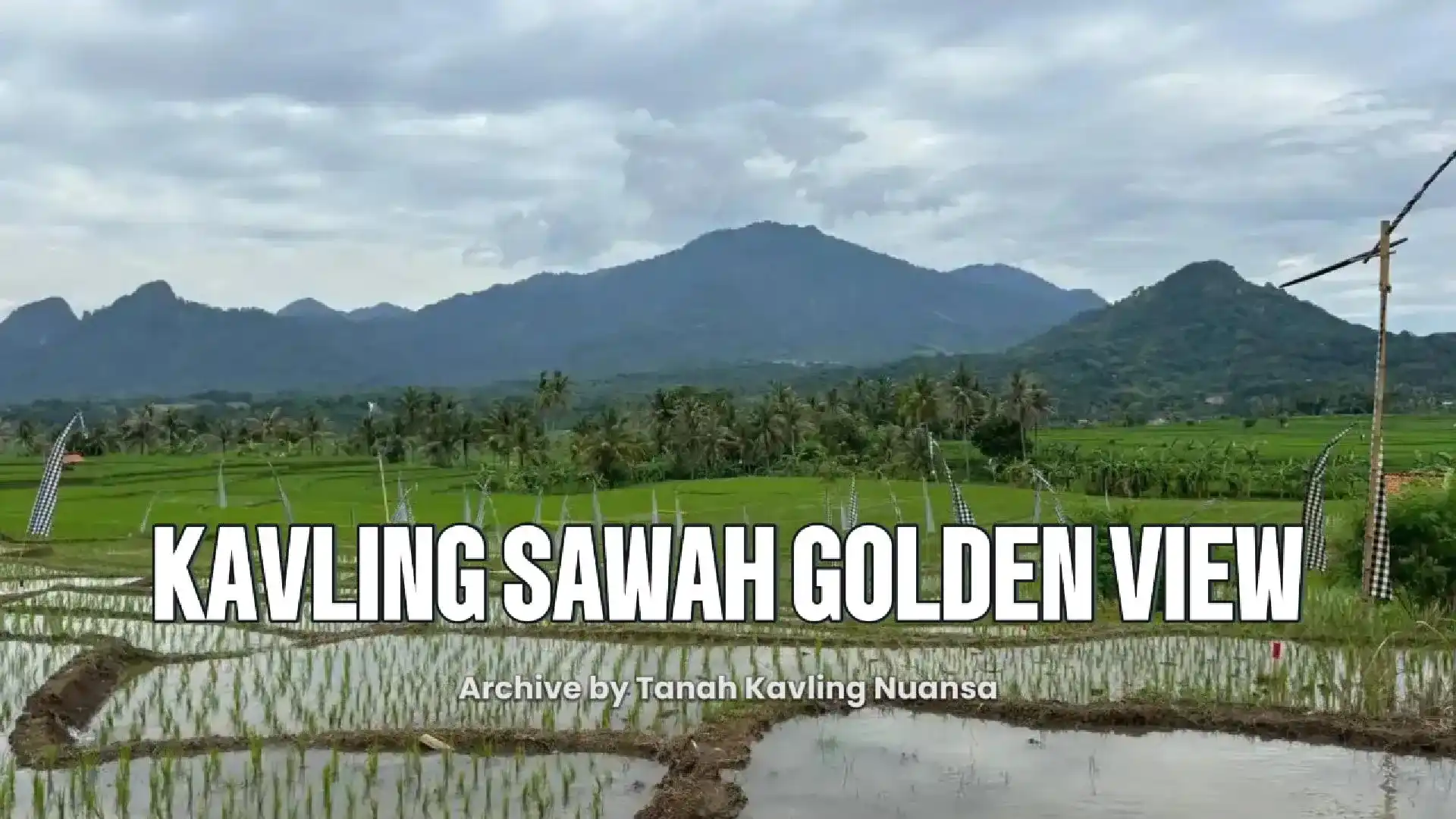 Kavling Sawah